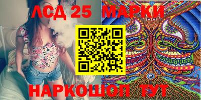 спиды Кимры