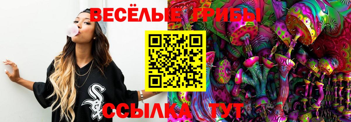 Галлюциногенные грибы мицелий Красноярск