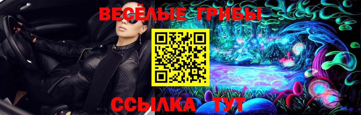 Псилоцибиновые грибы мицелий  Вход с VPN  купить закладку  Красноярск 